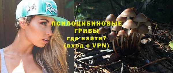 стаф Абдулино