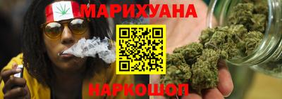прущие грибы Моздок