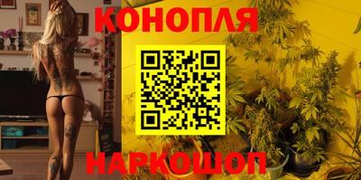 прущие грибы Моздок