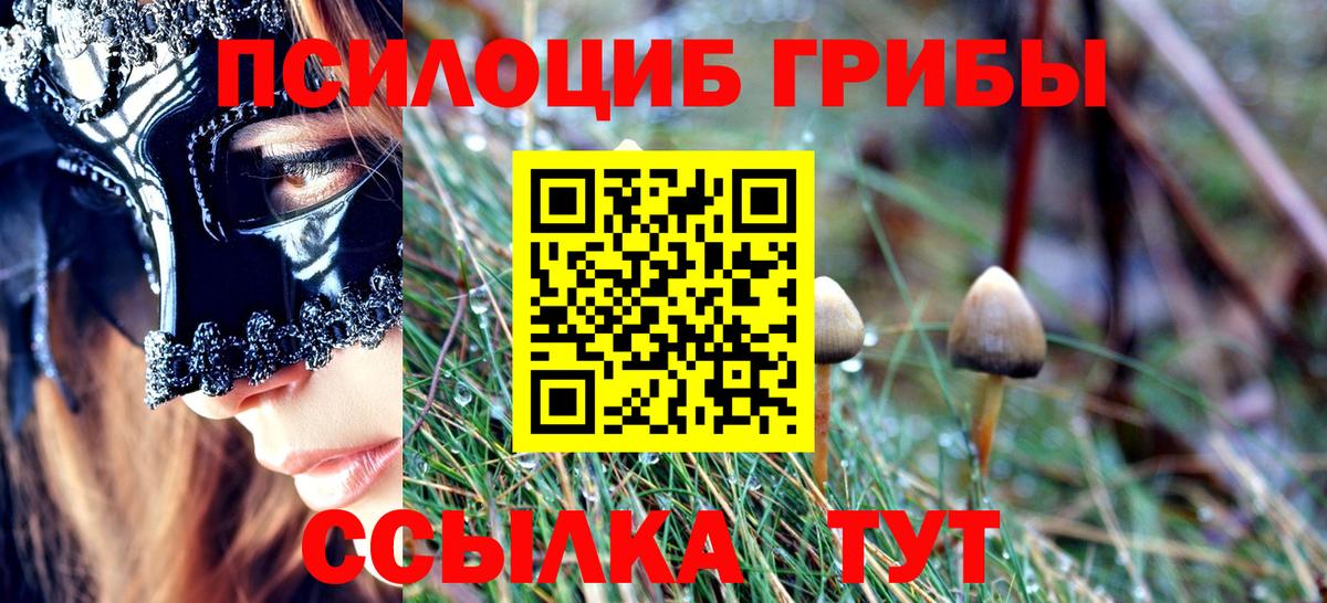 Галлюциногенные грибы Psilocybe Подольск