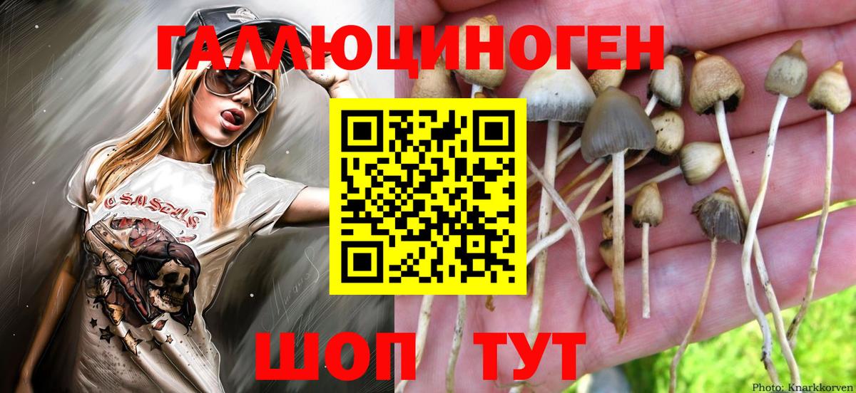 хочу   Вход с VPN  Подольск  Галлюциногенные грибы Magic Shrooms 