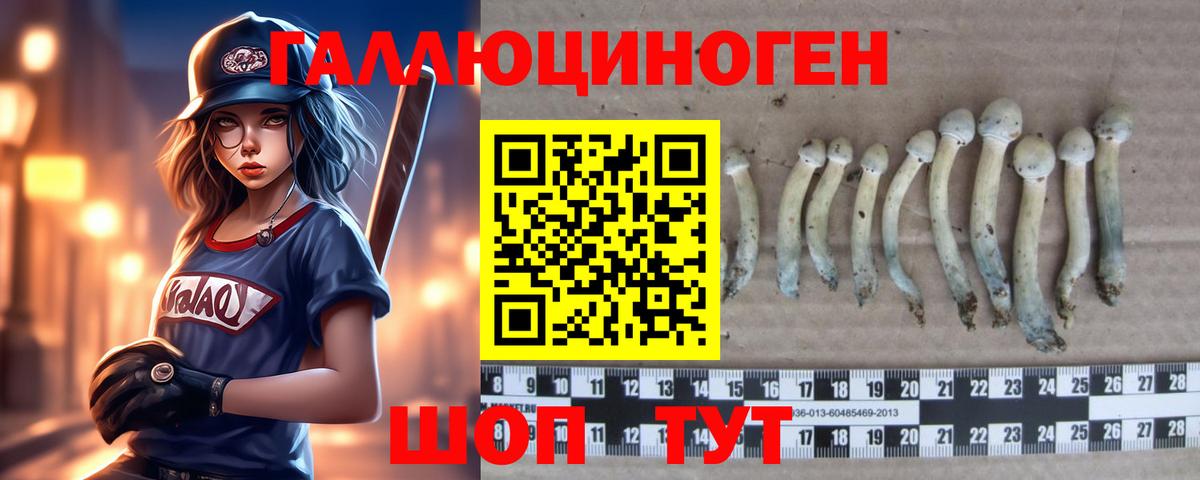 Подольск  Галлюциногенные грибы MAGIC MUSHROOMS  Вход с VPN 