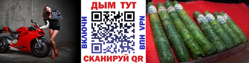 omg ТОР  Подольск  Марихуана сатива 